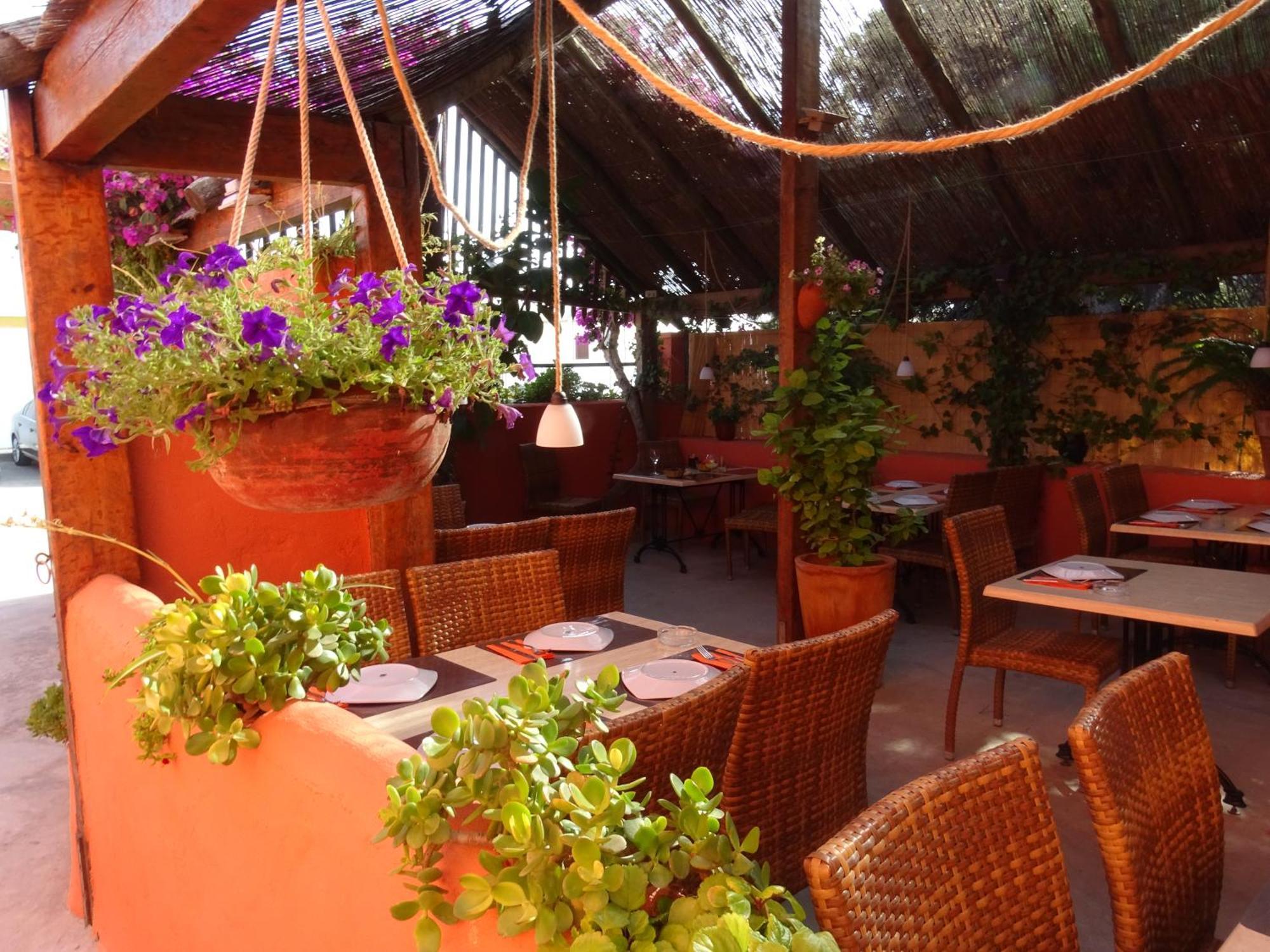 La Casa Del Trafalgar 로스 카뇨스 데 메카 외부 사진